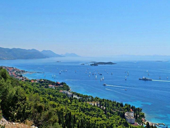 Apartmani Villa Lidija Orebić Kültér fotó